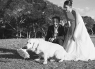 mariage-a-a-033
